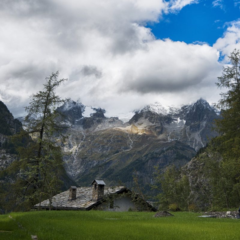 Casa nel Bosco - DBS6794
